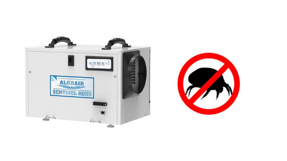 Can you kill dust mites by running a dehumidifier?