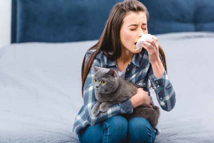 Why am I allergic to my cat?
