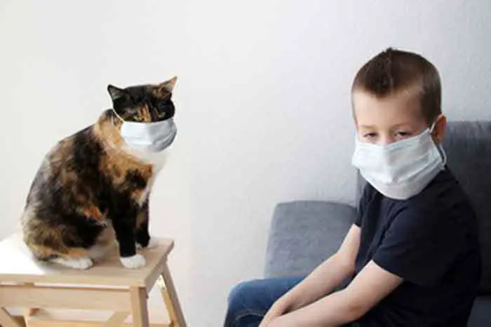Do HEPA filters help with cat allergies?