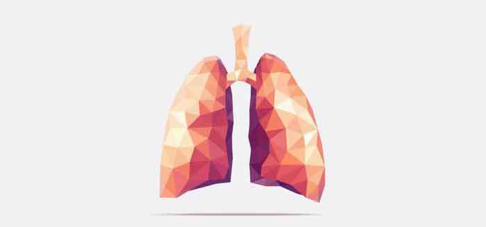 How do COPD lungs work