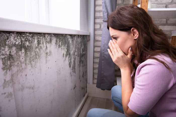 How to Get Rid of Mold Spores In the Air & In Your Lungs
