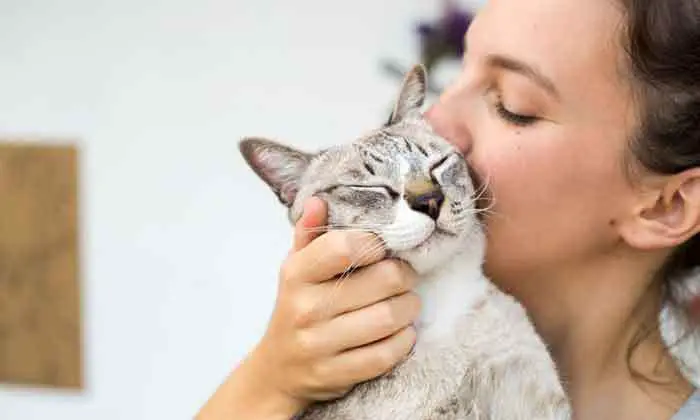 How to Build Immunity to Cat Allergies